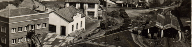 Asociacion de vigilantes y similares de minas de carbón asturias